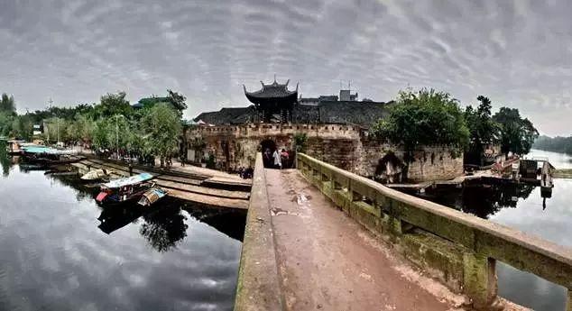 救援花卉销售员
